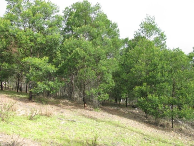Lot 52 Bournda Park Way, Wallagoot NSW 2550