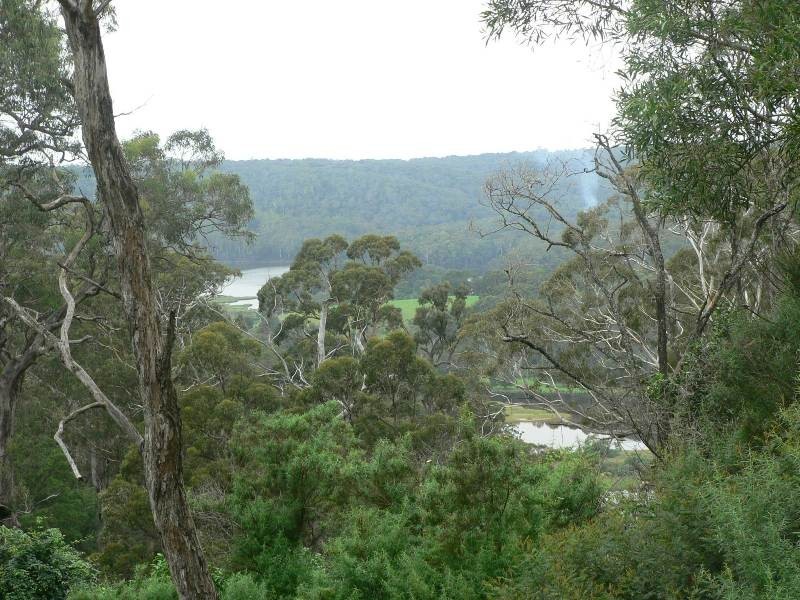 Reedy Swamp NSW 2550