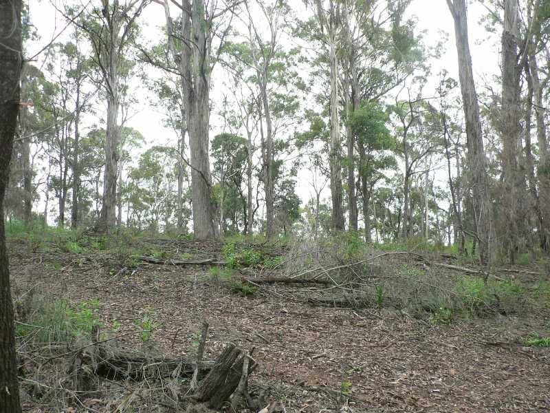 Reedy Swamp NSW 2550