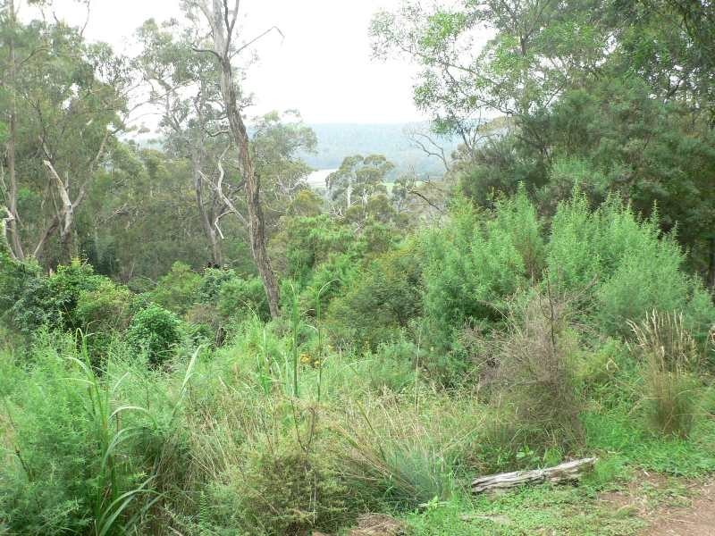 Reedy Swamp NSW 2550