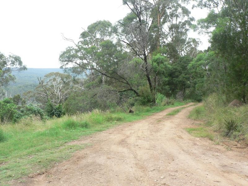 Reedy Swamp NSW 2550