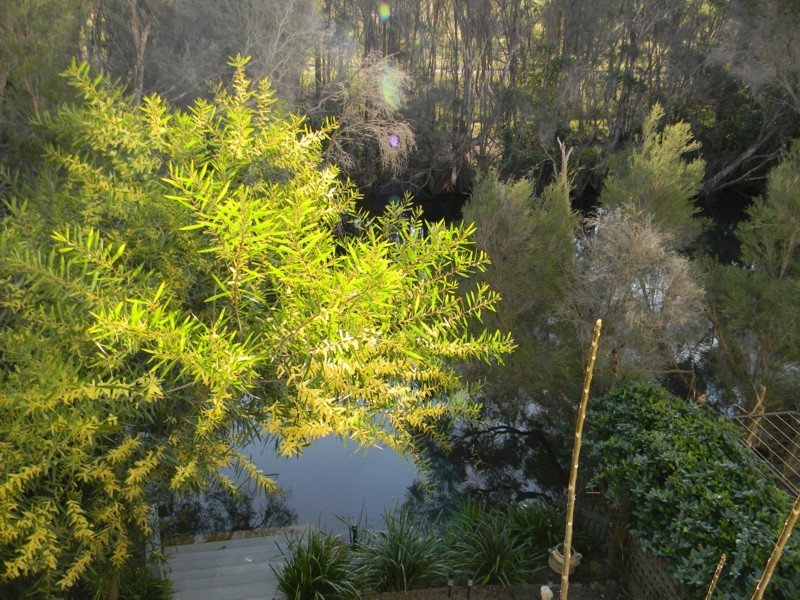 4/29 Munn Street, Merimbula NSW 2548