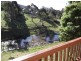 Central Tilba NSW 2546