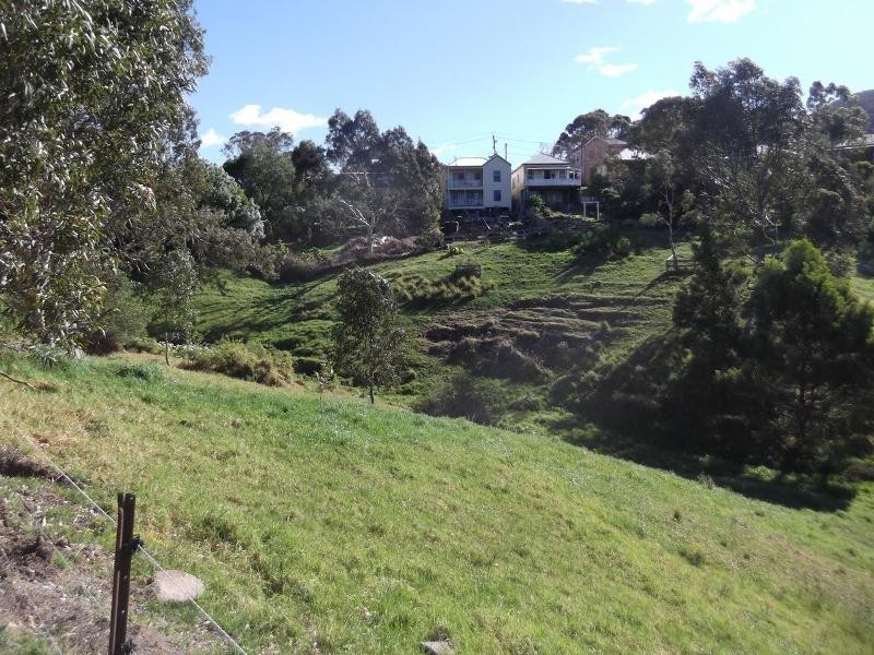 Central Tilba NSW 2546