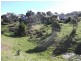 Central Tilba NSW 2546