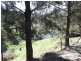 Central Tilba NSW 2546