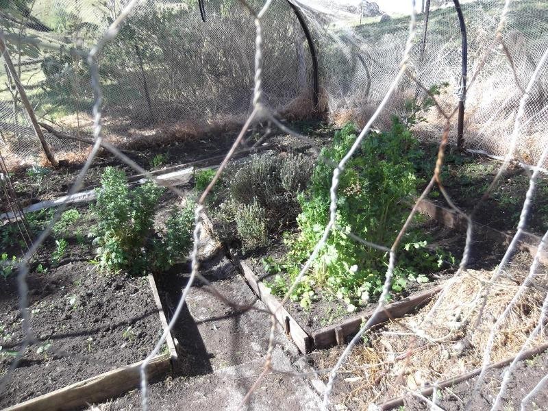 Central Tilba NSW 2546