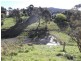 Central Tilba NSW 2546