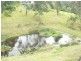 Central Tilba NSW 2546