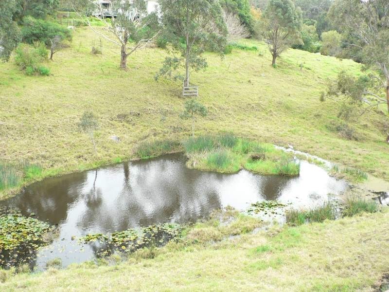 Central Tilba NSW 2546