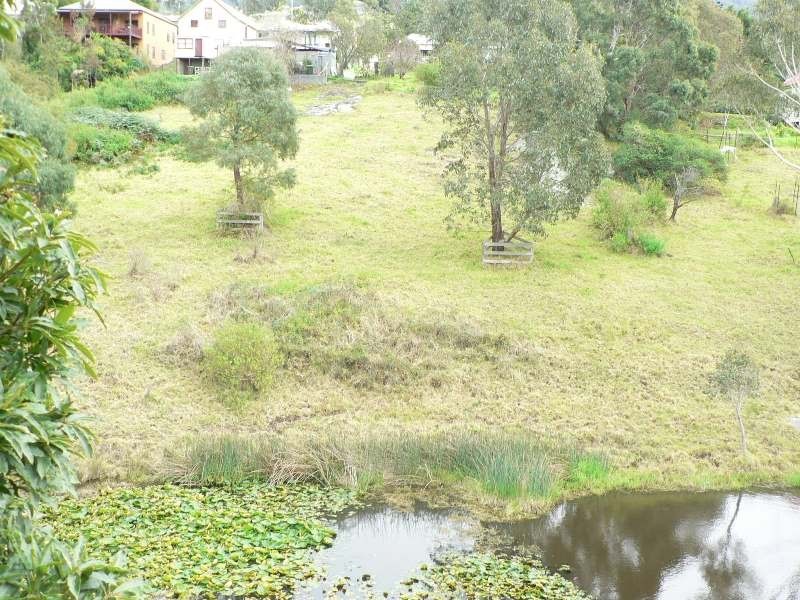 Central Tilba NSW 2546