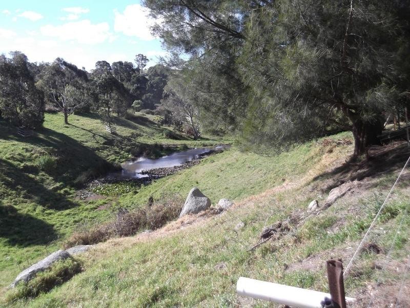 Central Tilba NSW 2546