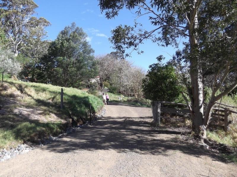 Central Tilba NSW 2546