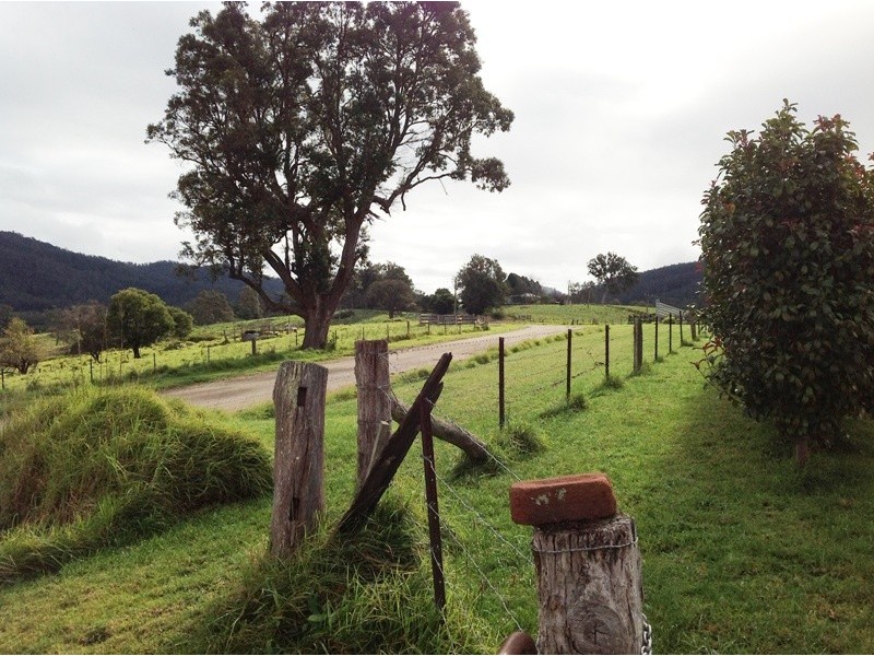 Quaama NSW 2550