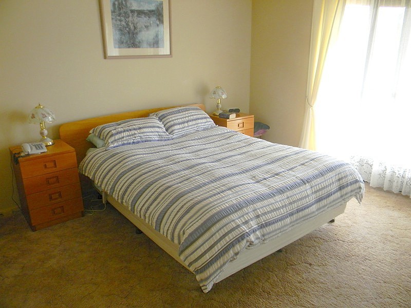 2020 Whipstick Lane via Wyndham, Wyndham NSW 2550