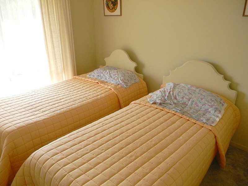 2020 Whipstick Lane via Wyndham, Wyndham NSW 2550