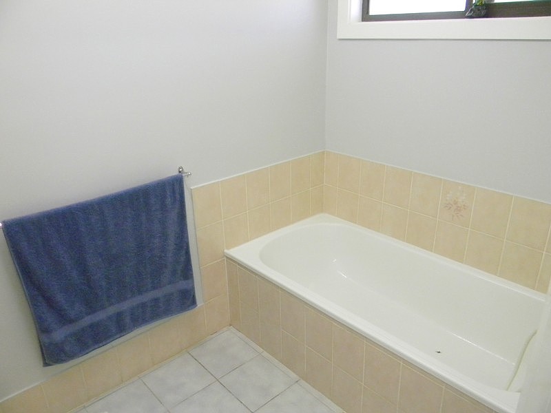 2020 Whipstick Lane via Wyndham, Wyndham NSW 2550