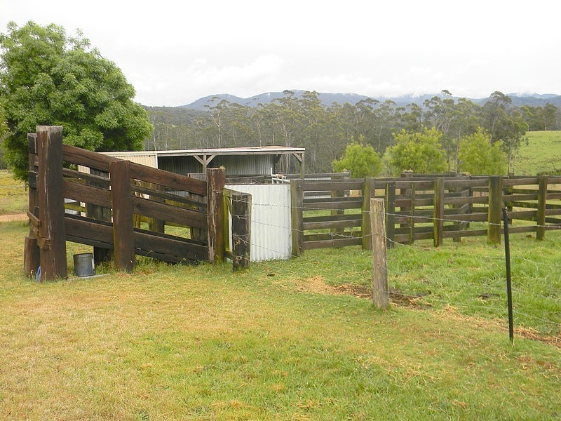 2020 Whipstick Lane via Wyndham, Wyndham NSW 2550