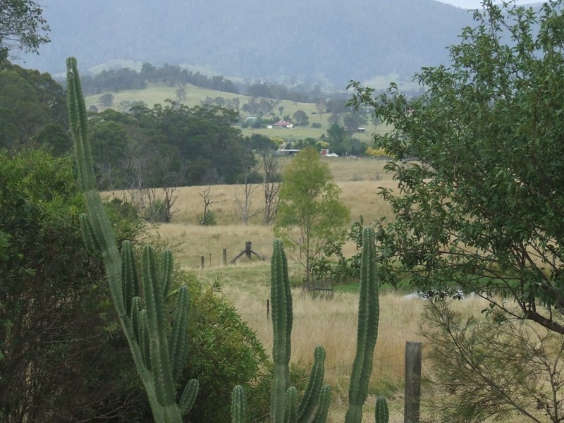 38 Tip Road, Cobargo NSW 2550