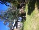 388 Illawambra Valley Road, Yowrie NSW 2550