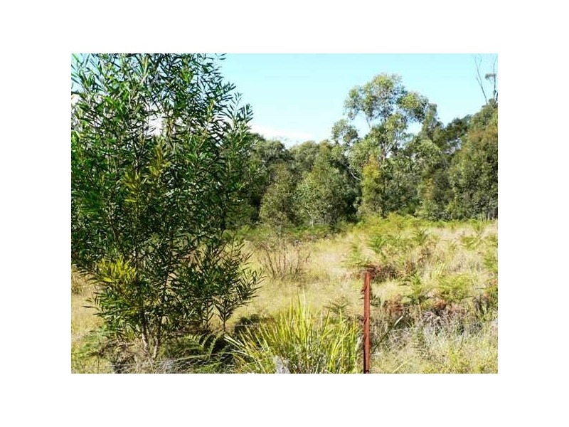 Coolagolite NSW 2550