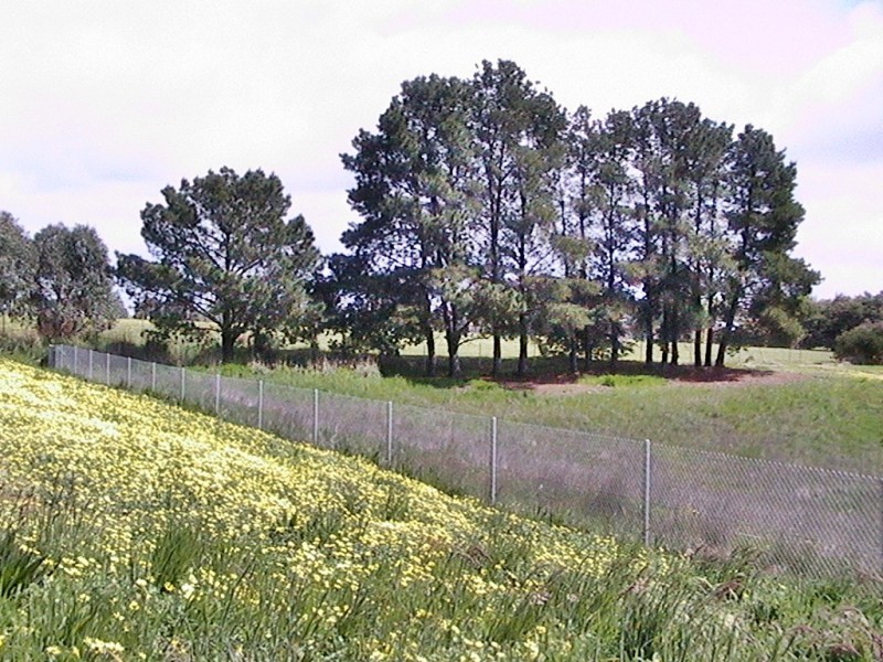 1/16 Stewart Street, Mansfield VIC 3722