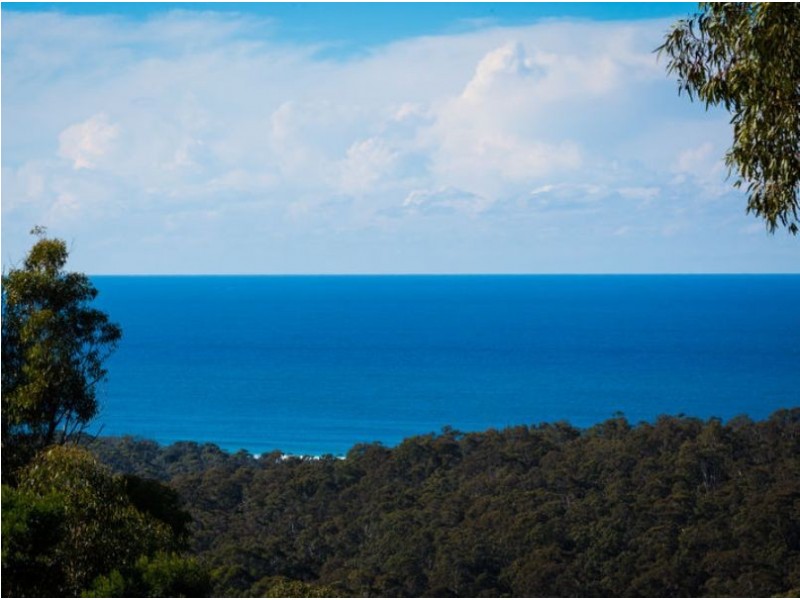 2735 Bermagui Tathra Road, Bermagui NSW 2546
