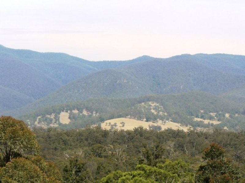 982 Yowrie Road, Cobargo NSW 2550