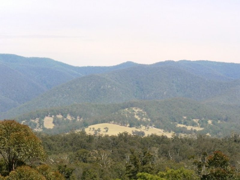 982 Yowrie Road, Cobargo NSW 2550