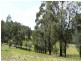 982 Yowrie Road, Cobargo NSW 2550