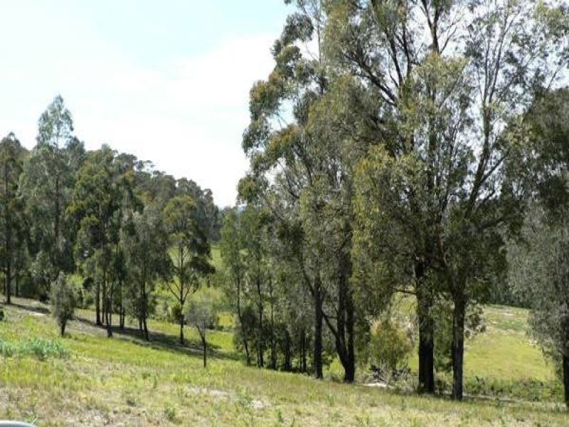 982 Yowrie Road, Cobargo NSW 2550