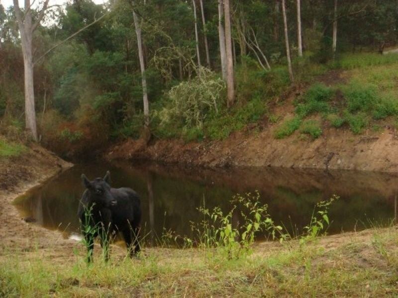 25 Christophers Road, Quaama NSW 2550