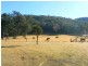38 Tip Road, Cobargo NSW 2550