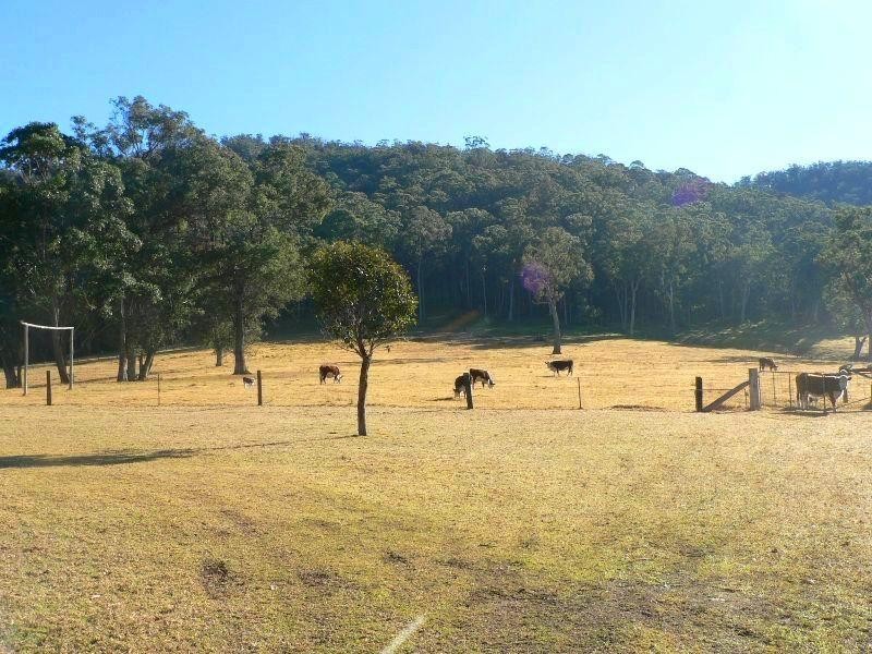 38 Tip Road, Cobargo NSW 2550