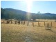 38 Tip Road, Cobargo NSW 2550