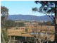 38 Tip Road, Cobargo NSW 2550