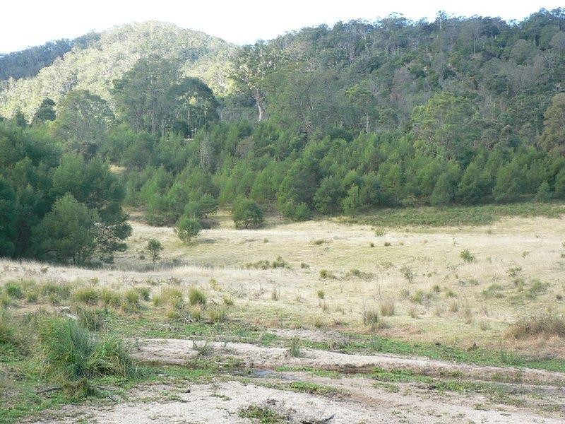1400 Upper Brogo Road, Brogo NSW 2550