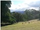 1400 Upper Brogo Road, Brogo NSW 2550