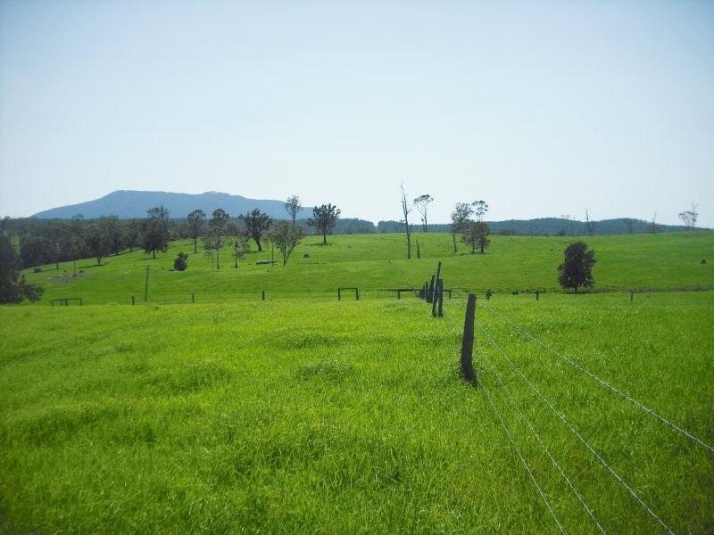 Cobargo NSW 2550
