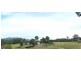 Cobargo NSW 2550