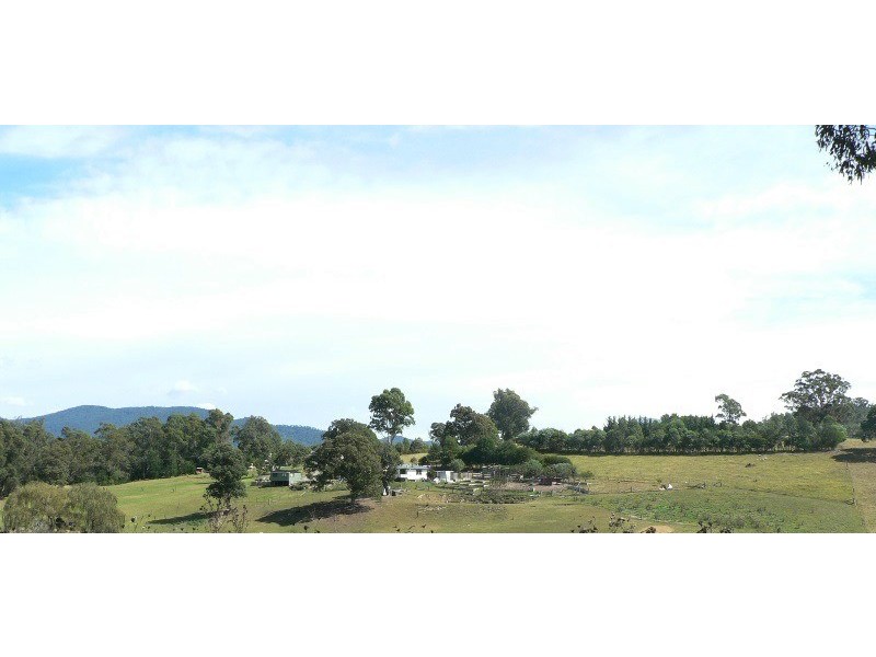 Cobargo NSW 2550