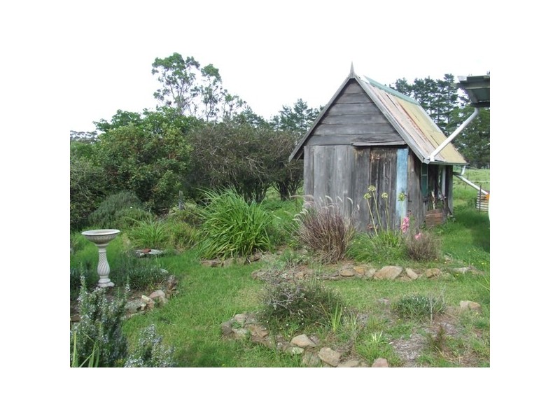 Central Tilba NSW 2546