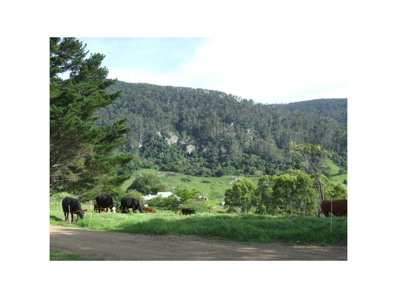 Central Tilba NSW 2546