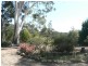 Coolagolite NSW 2550