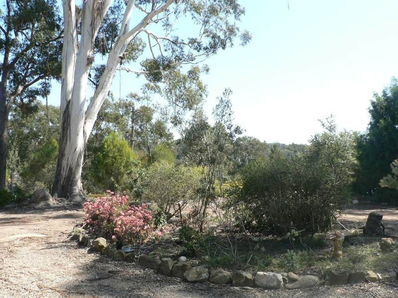 Coolagolite NSW 2550