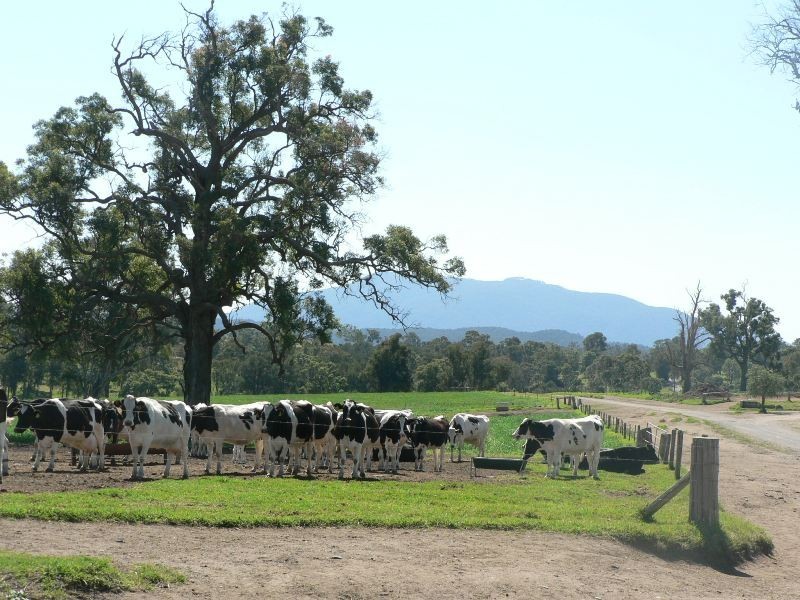 Coolagolite NSW 2550