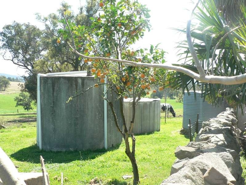 Coolagolite NSW 2550