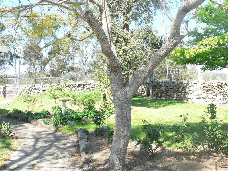 Coolagolite NSW 2550