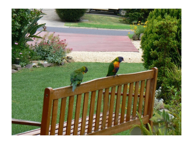 3/2 Wonga Street, Merimbula NSW 2548