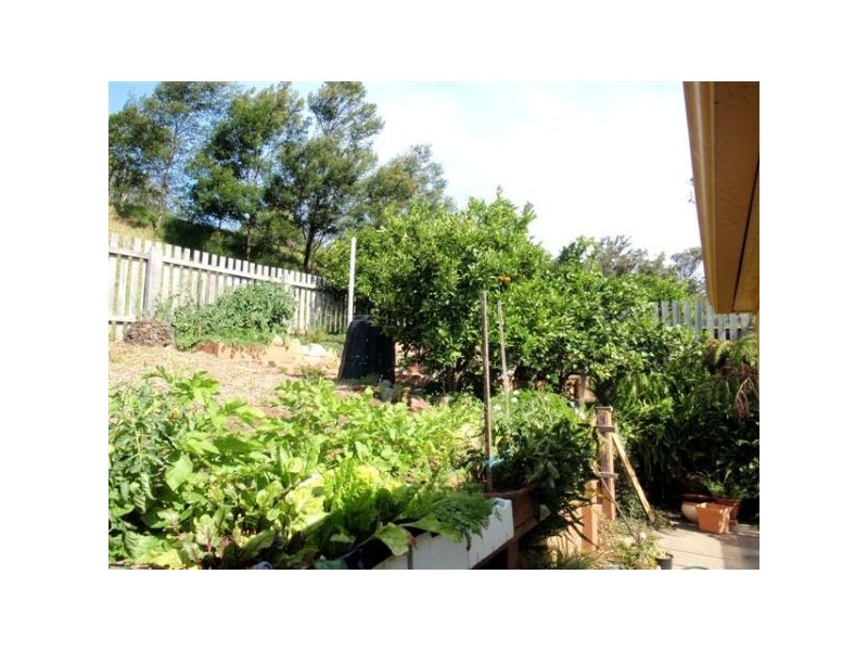 Wallaga Lake NSW 2546